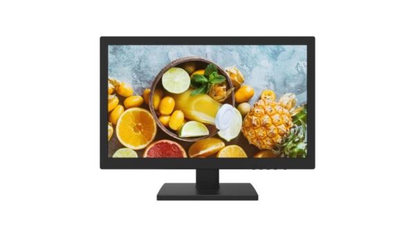 HK-DS-D5019S0-1P0 - MONITOR 19 LCD - 220V