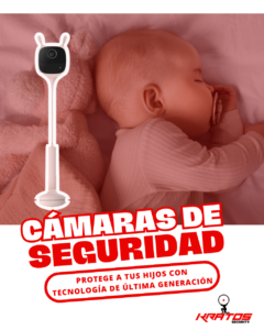 Cámaras de Seguridad