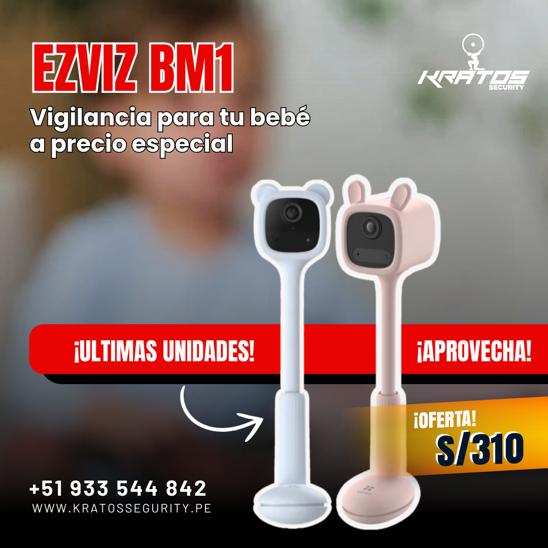BM1