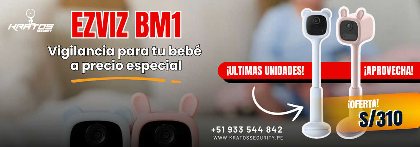 BM1